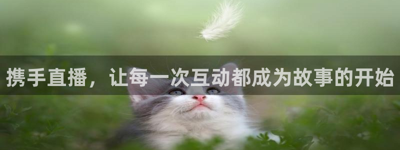 98篮球网nba直播吧